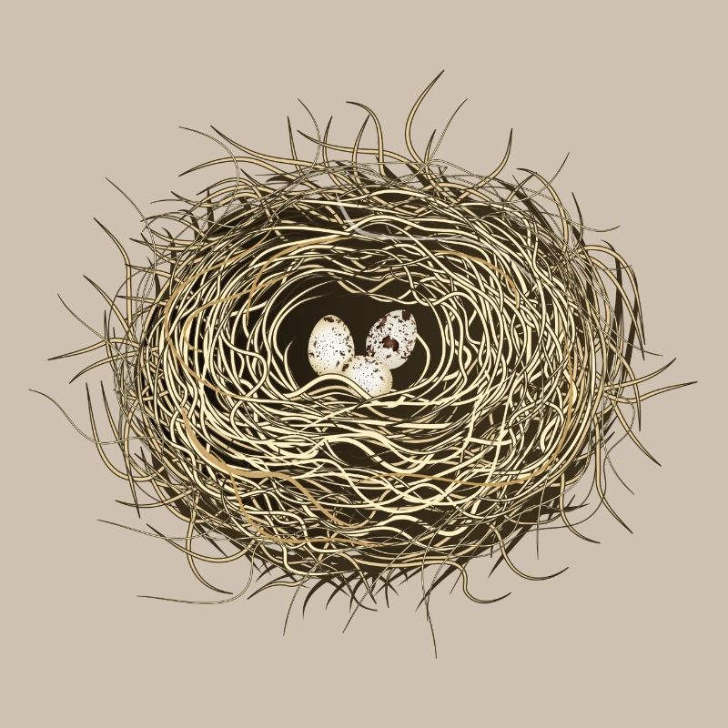 Vogelnest oder Osternest mit drei Vogel Eier