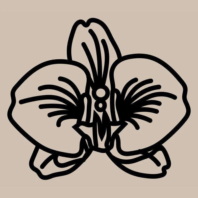 orchidée