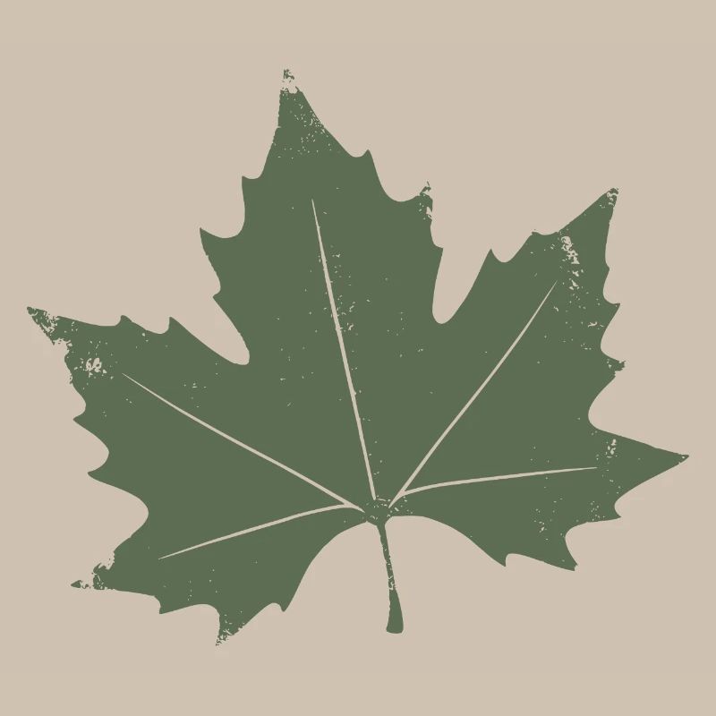 Feuille d’érable verte