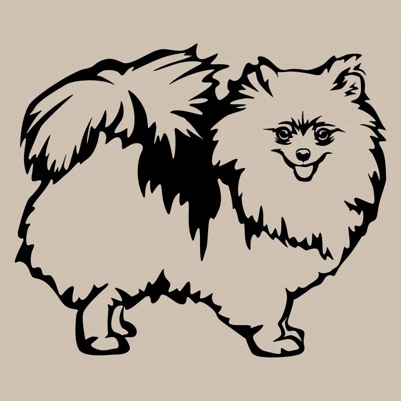 Spitz nain
