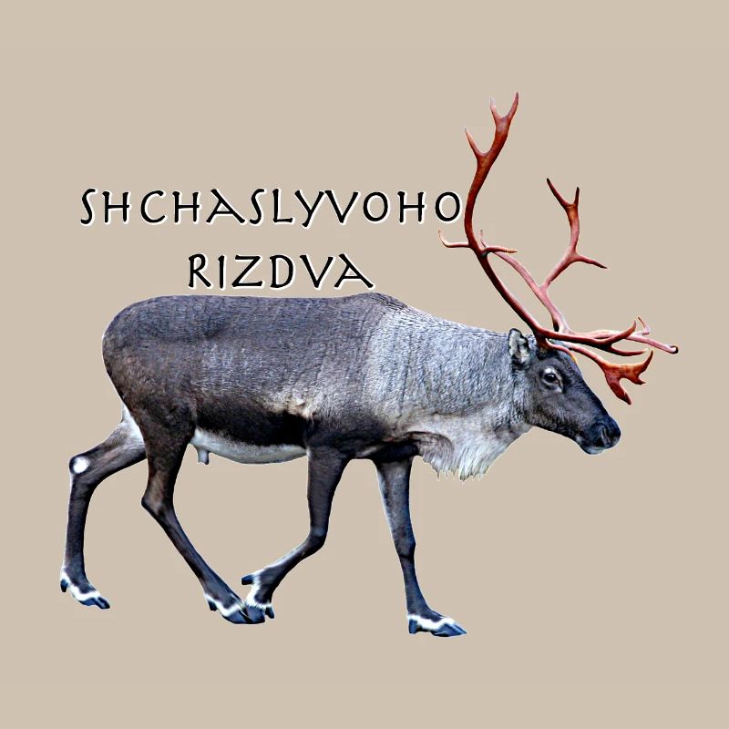 Shchaslyvoho Rizdva