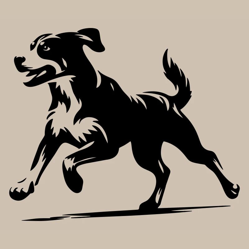 Entlebucher Sennenhund