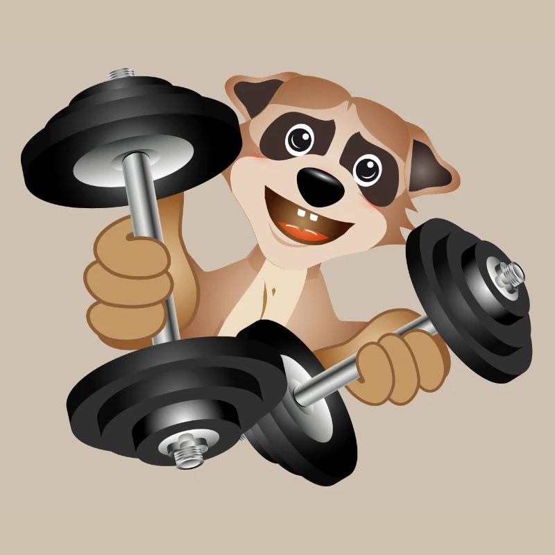 Bodybuilder Erdmännchen mit Hanteln beim Training