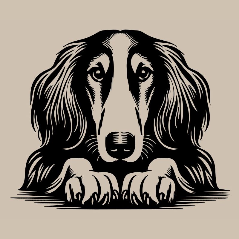 Saluki Kopf mit Pfoten