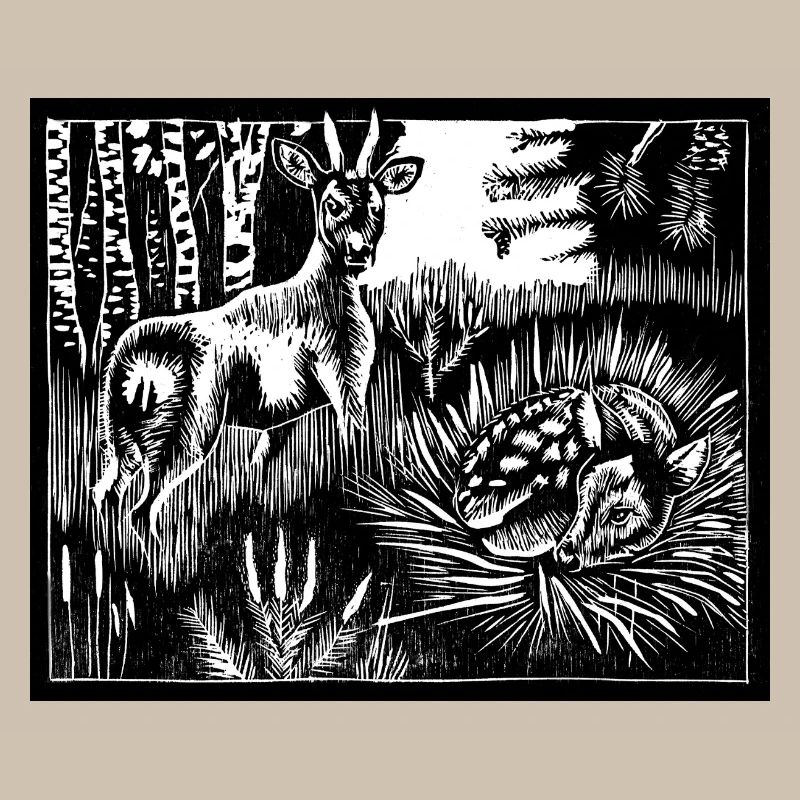 Cerf d’Alfabeest