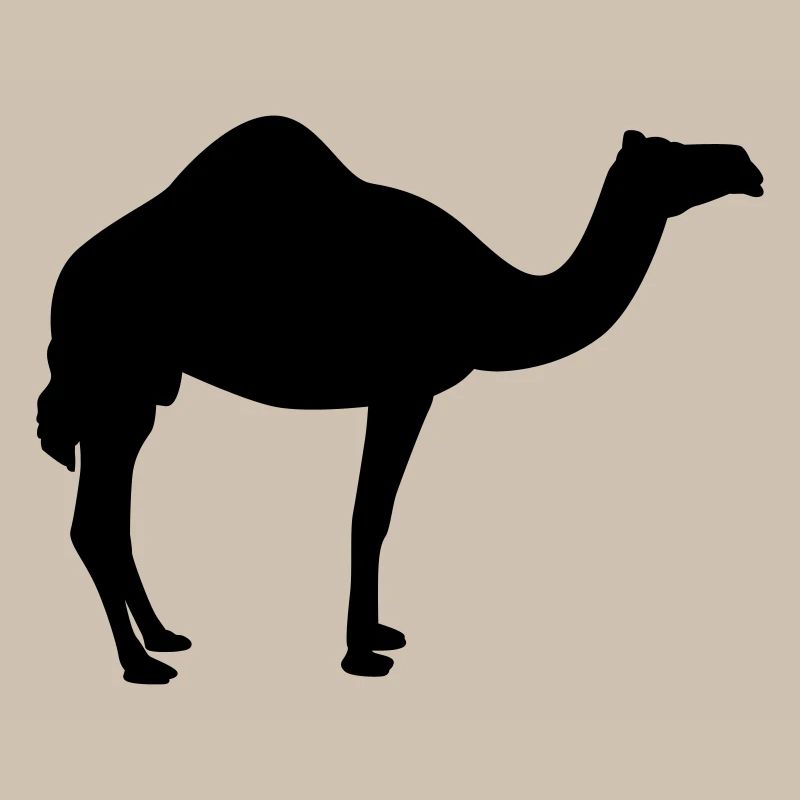 Kamel | Wüste | Dubai | Wüstenschiff