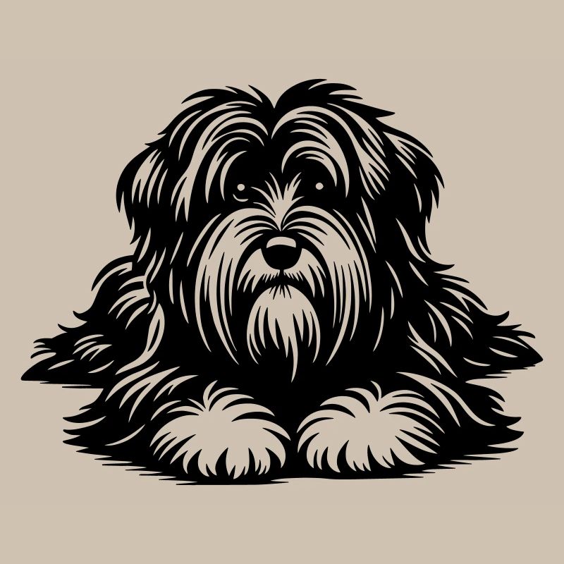 Terrier tibétain
