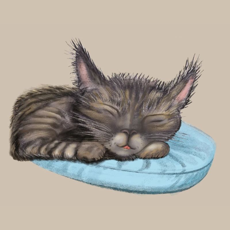 Chat endormi