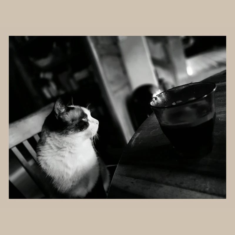 Schwarze Katze und Kaffeetasse