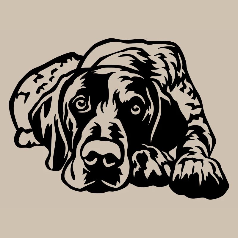German Shorthaired Pointer