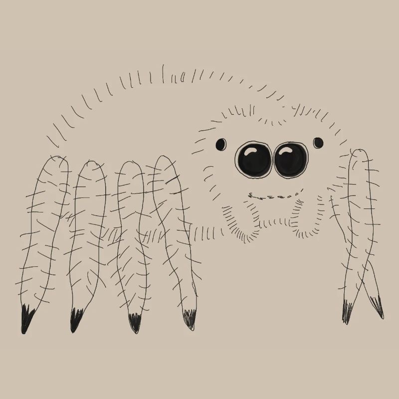 Cuddly spider illustration for the curious