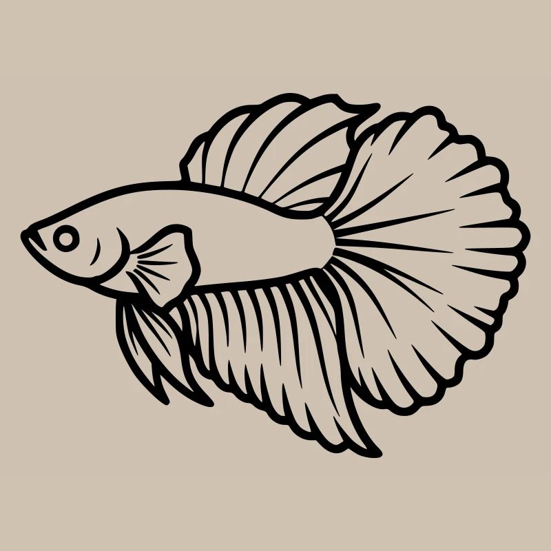 Kampffisch Betta Splendens Aquarium