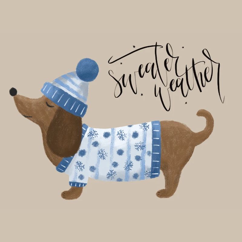 Dackel mit Pullover und Mütze Sweater Weather blau