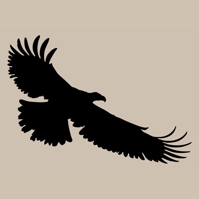 aigle