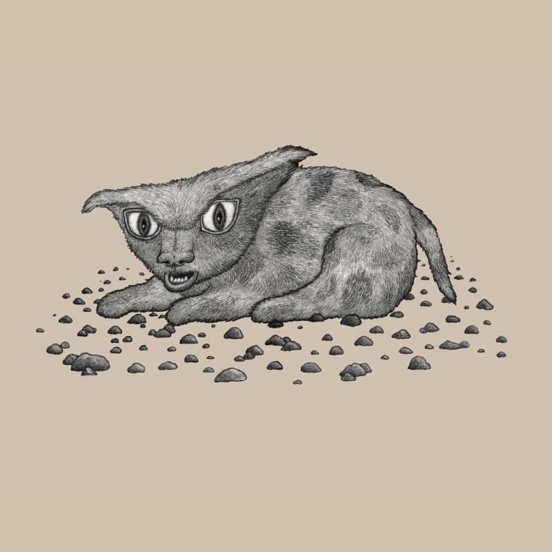Grim Cat
