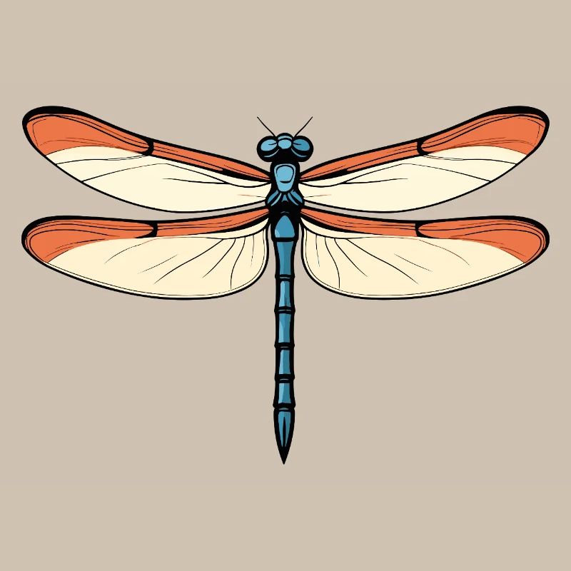 Libellule bleu-orangée