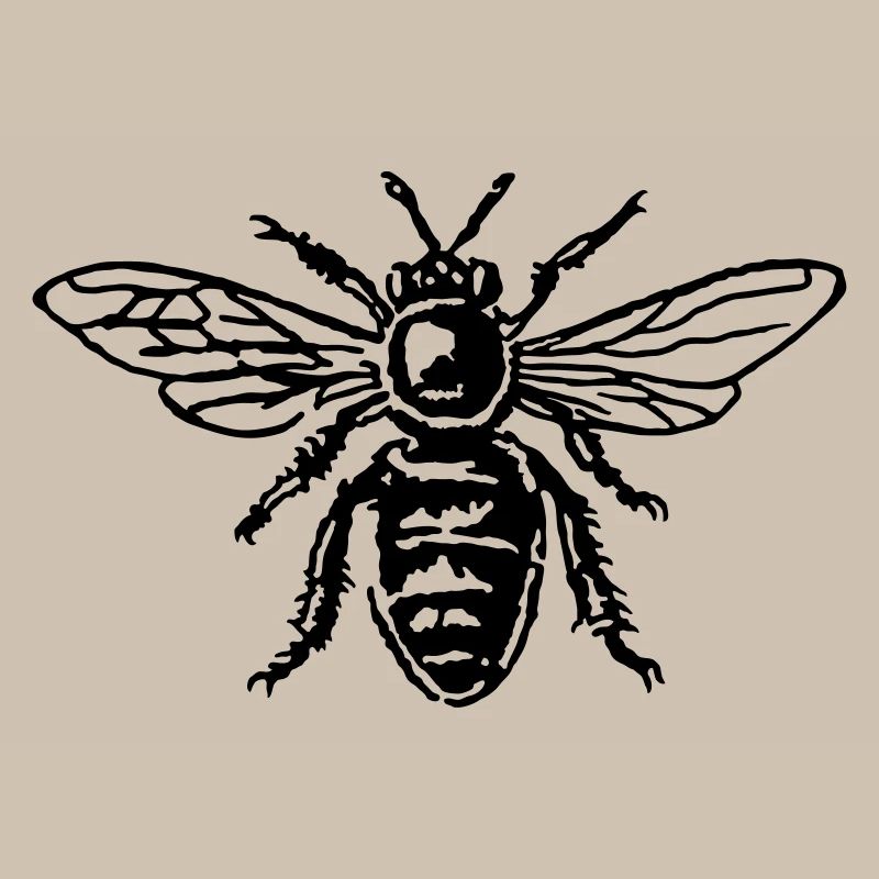 Honey Bee
