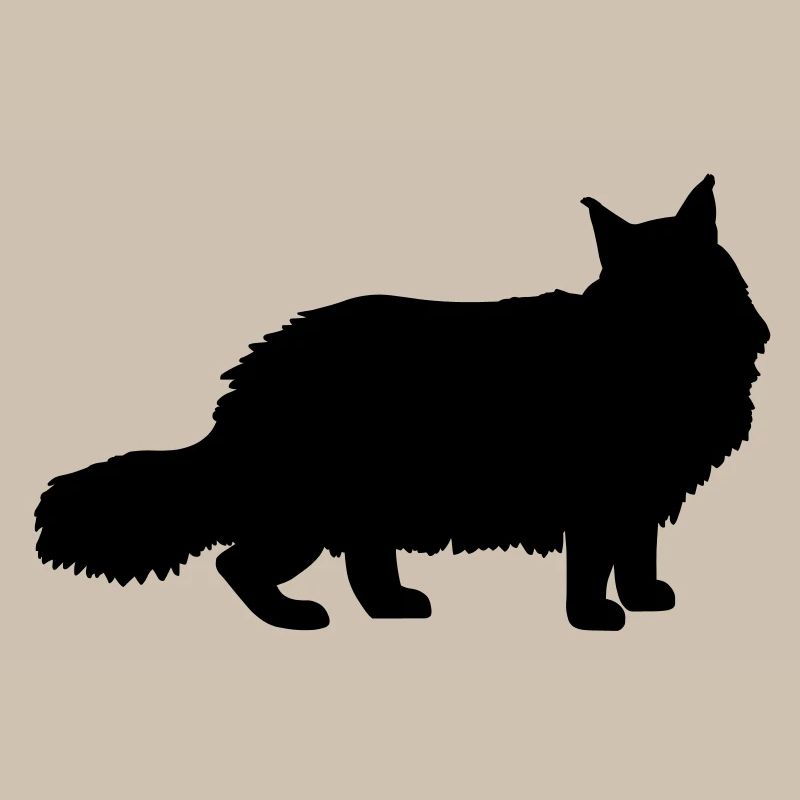 Maine Coon Cat