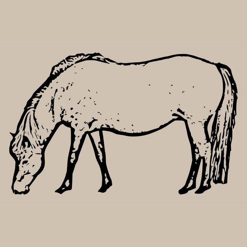 Pferd schwarz