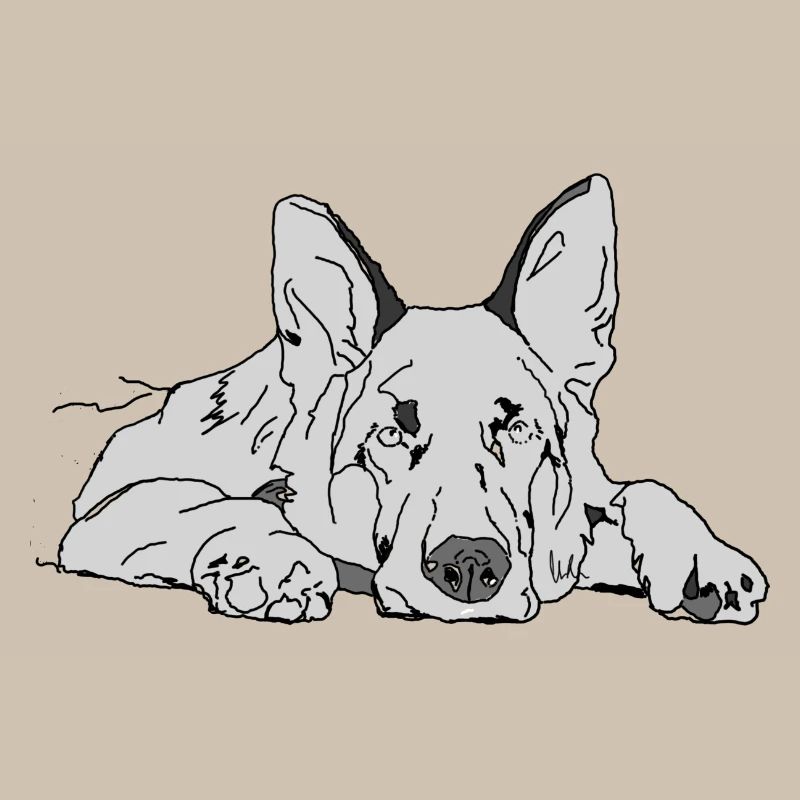 Schäferhund