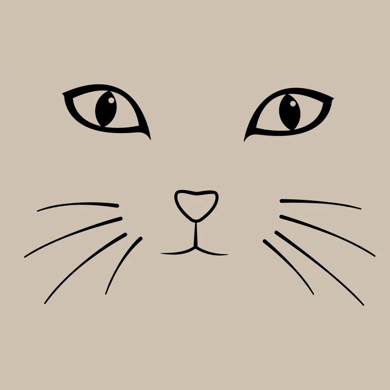 Katze