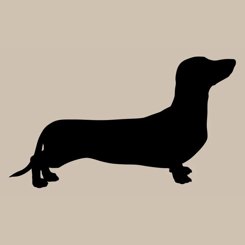 Dachshund