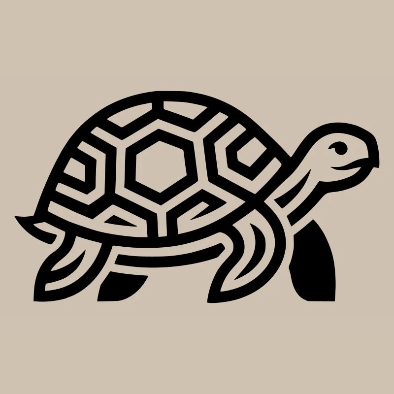 tortoise