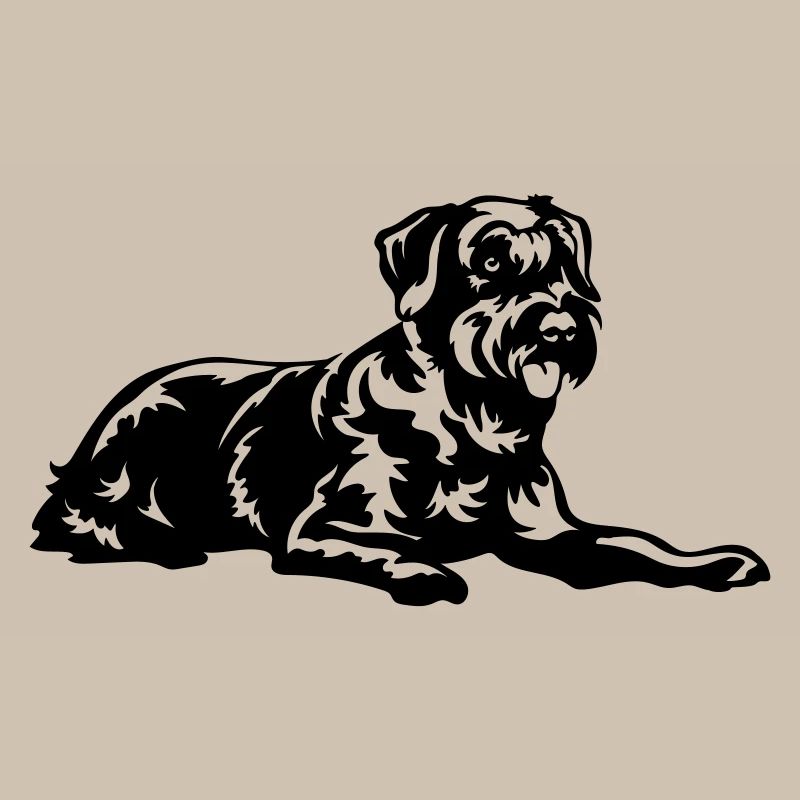 Schnauzer géant