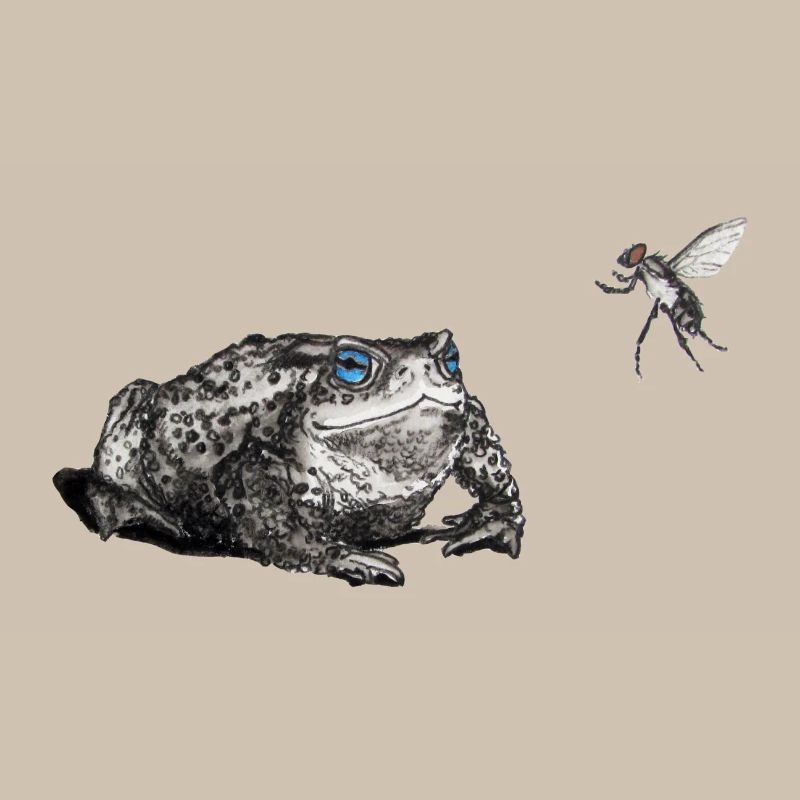 Crapaud et voler