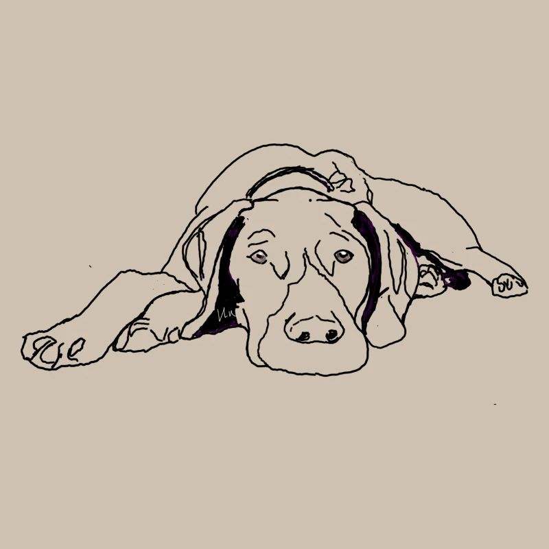 Pointer German Shorthair