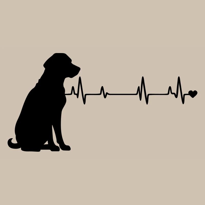 Chien