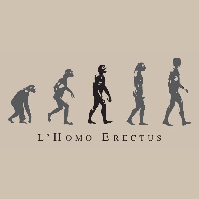 Evolution der menschlichen Haltung