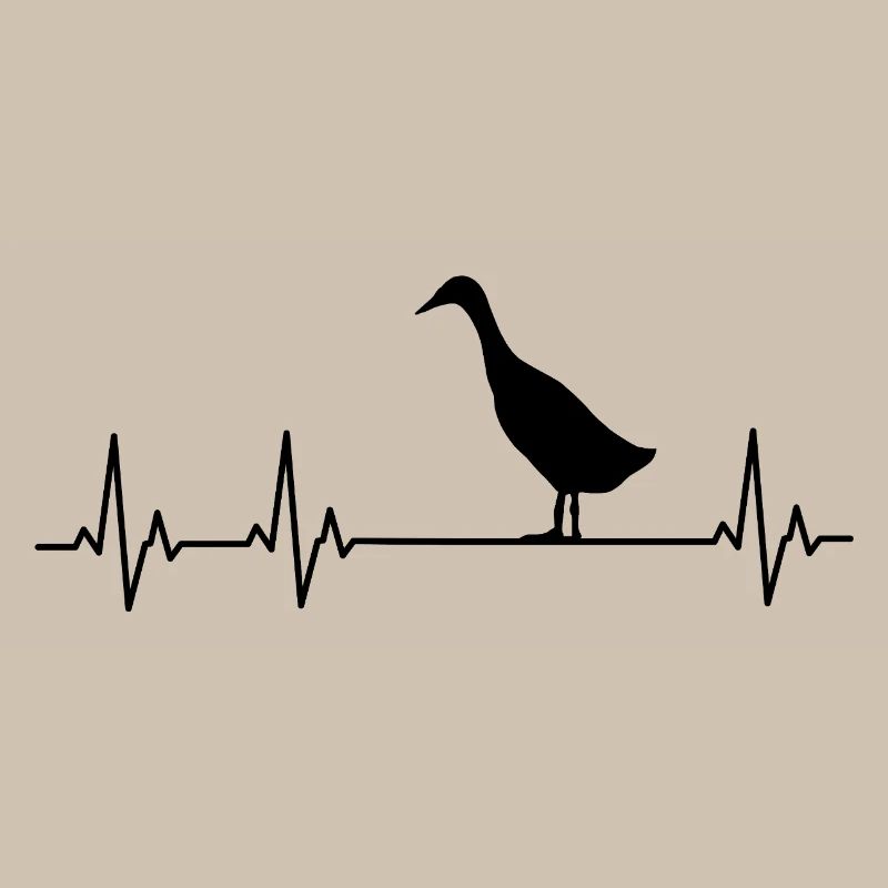 Runner Duck - Runner Duck Breeder - Indian Runner Duck