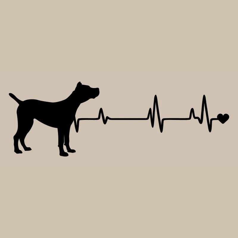 Chien