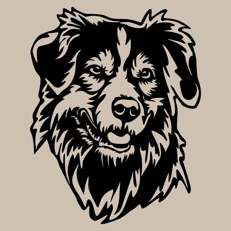 Australian Shepherd Kopf
