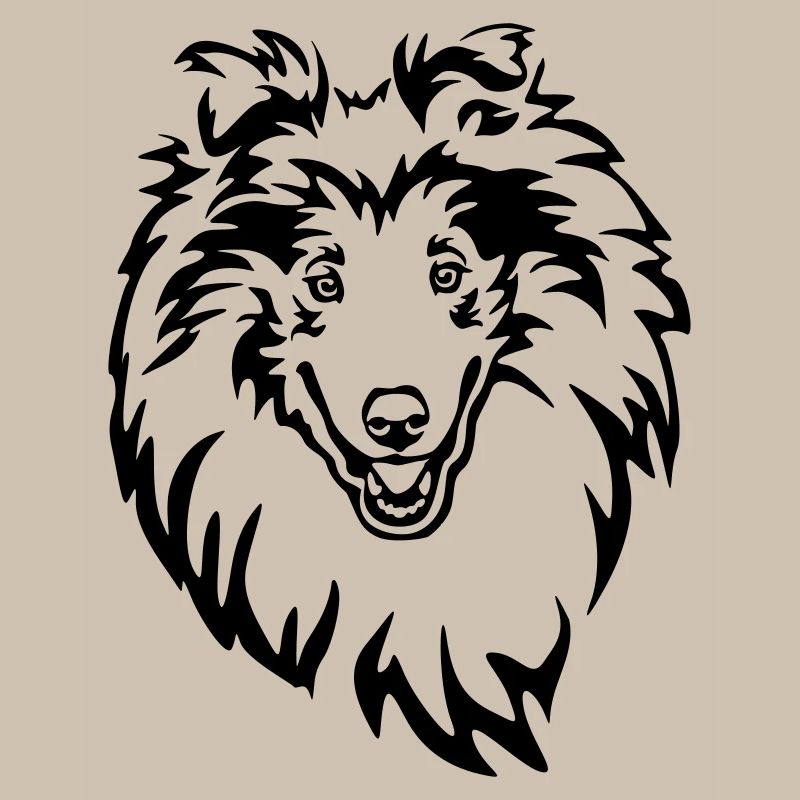 Collie Kopf