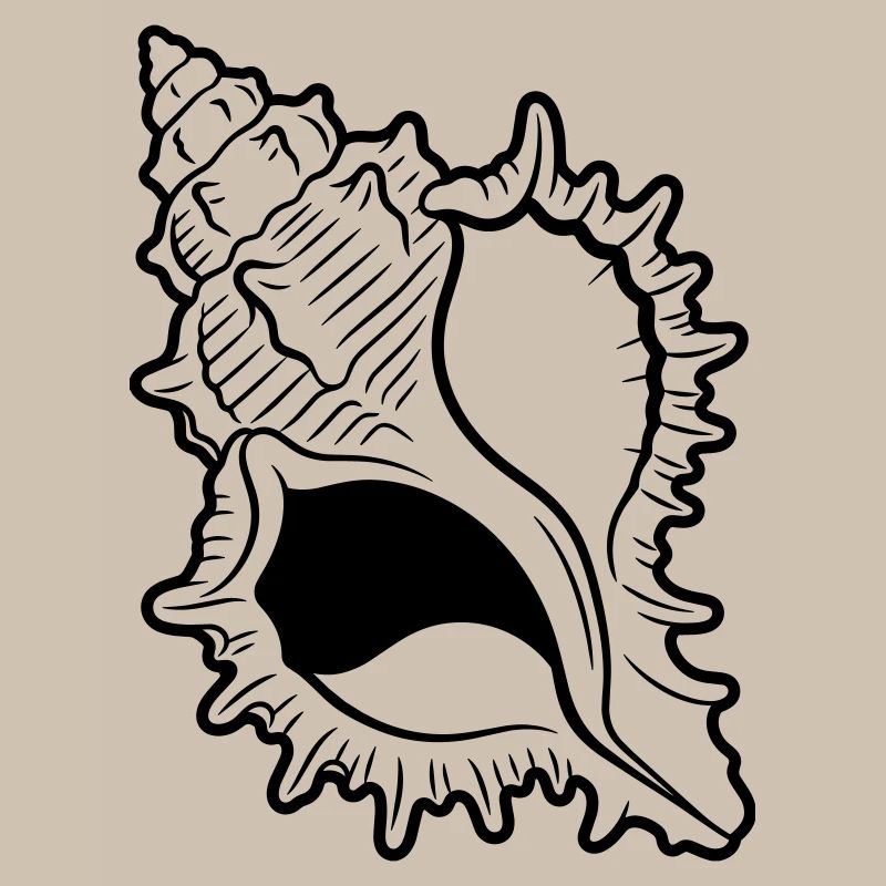 shell
