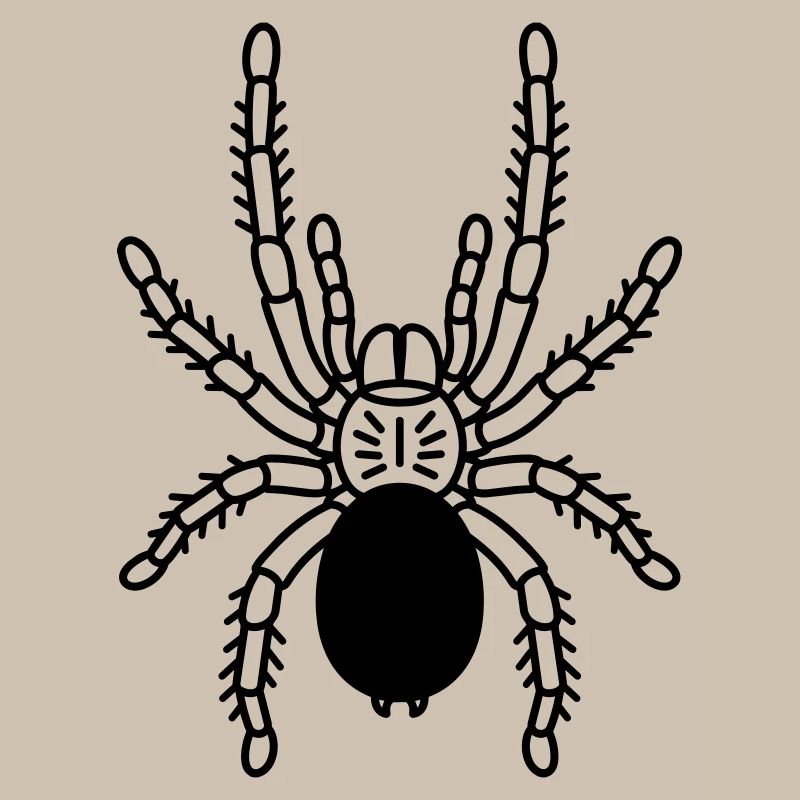 tarantula tarantula