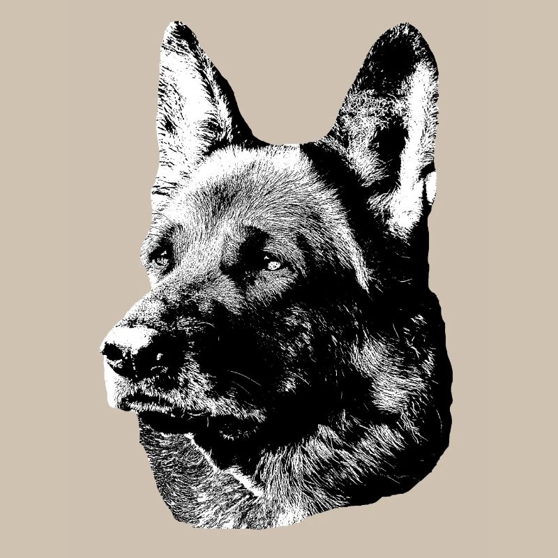 German Shepherd,Dog head,German Shepherd,Dogs