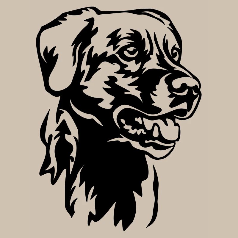 Tête de labrador