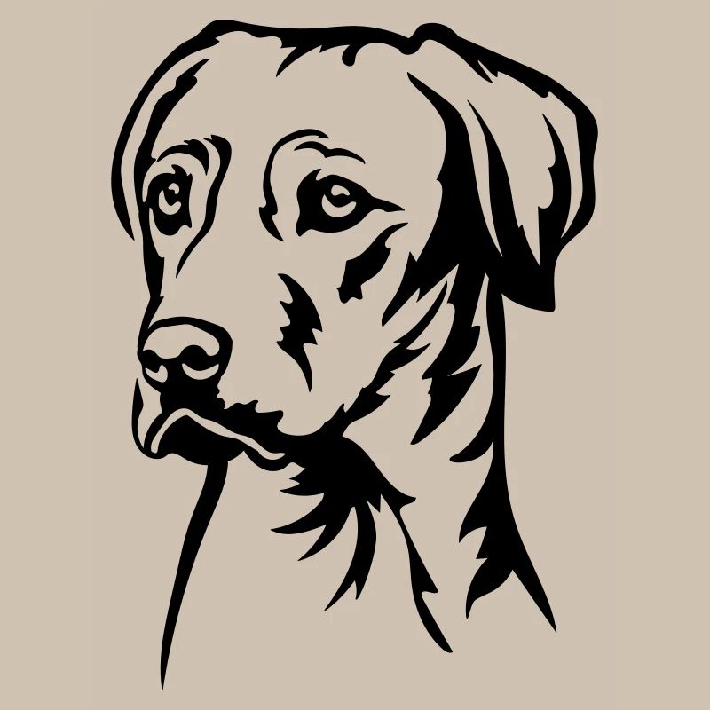 Rhodesian Ridgeback Head
