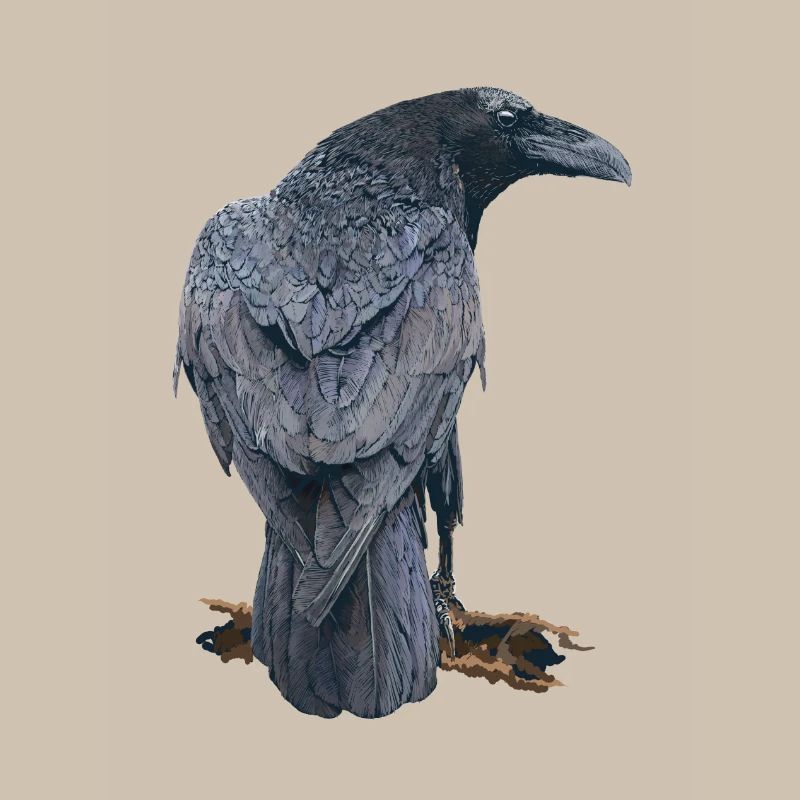 Crow
