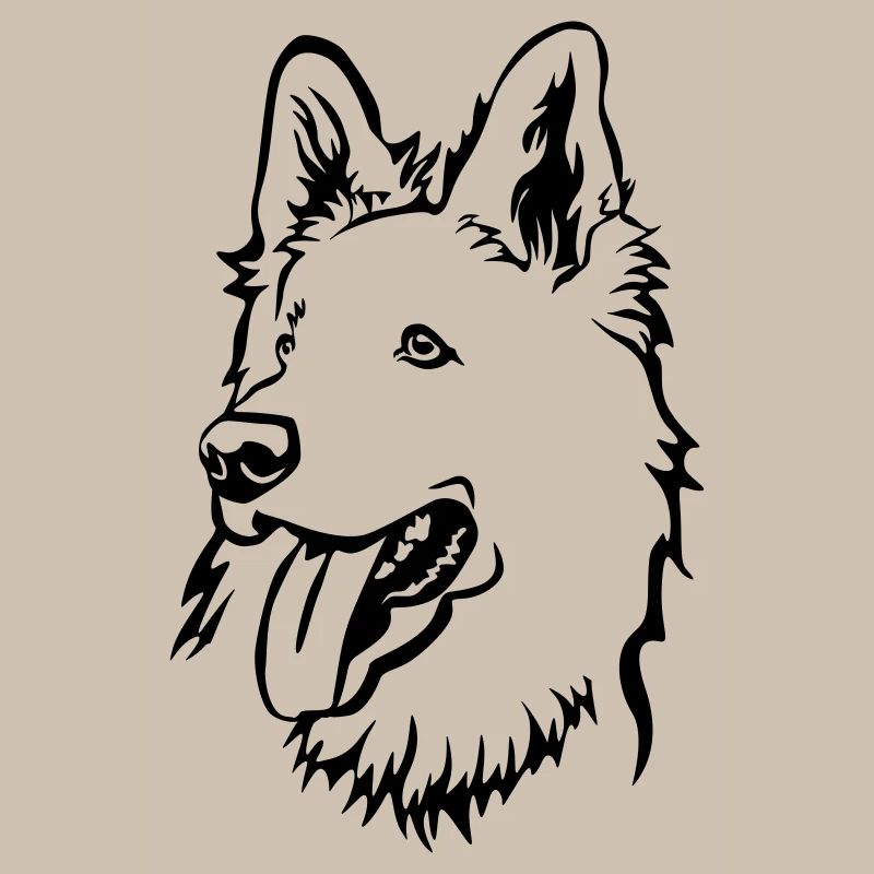 Schweizer Schäferhund Kopf