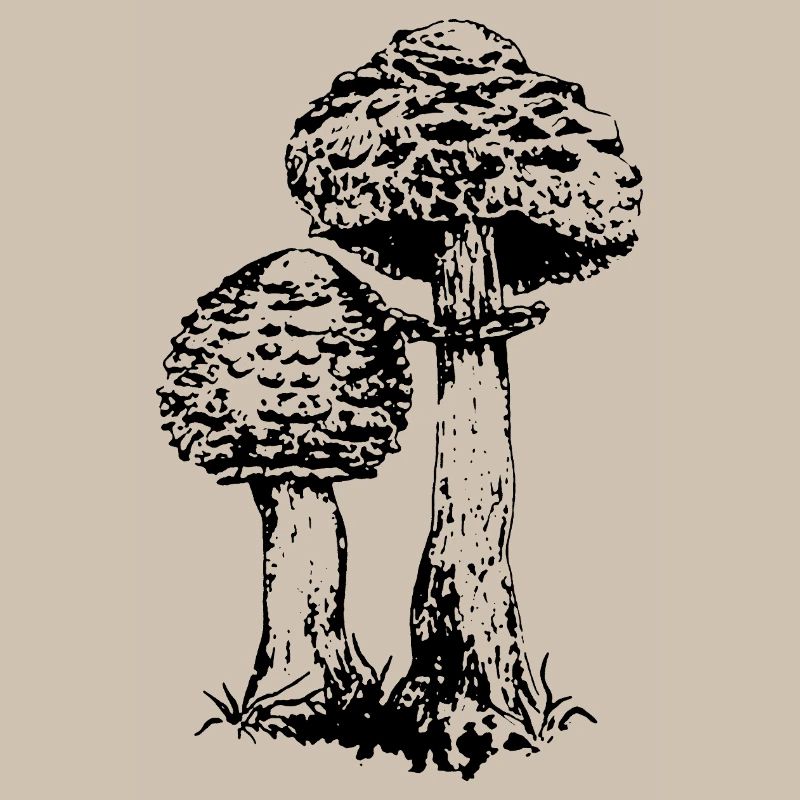 AKKUMULATOR PILZ