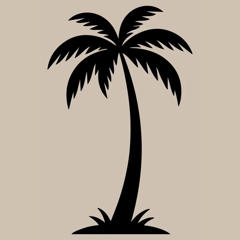 Silhouette de palmier