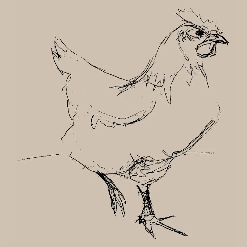 Huhn