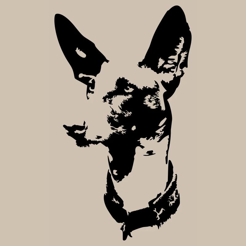 Podenco Kopf