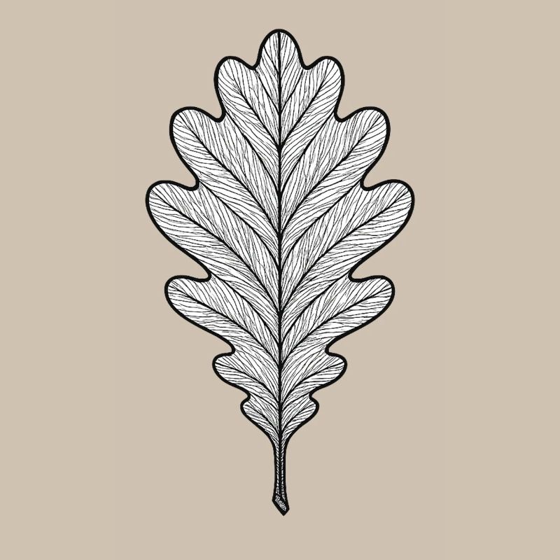 Monochromes Eichenblatt-Design