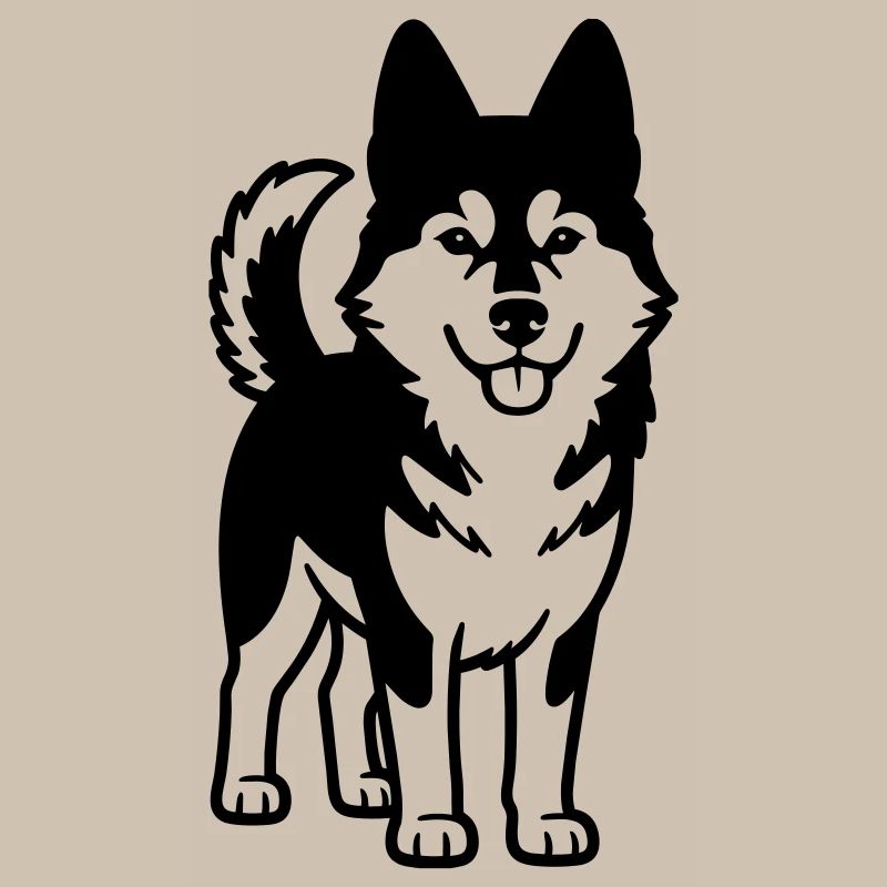 Husky Dog