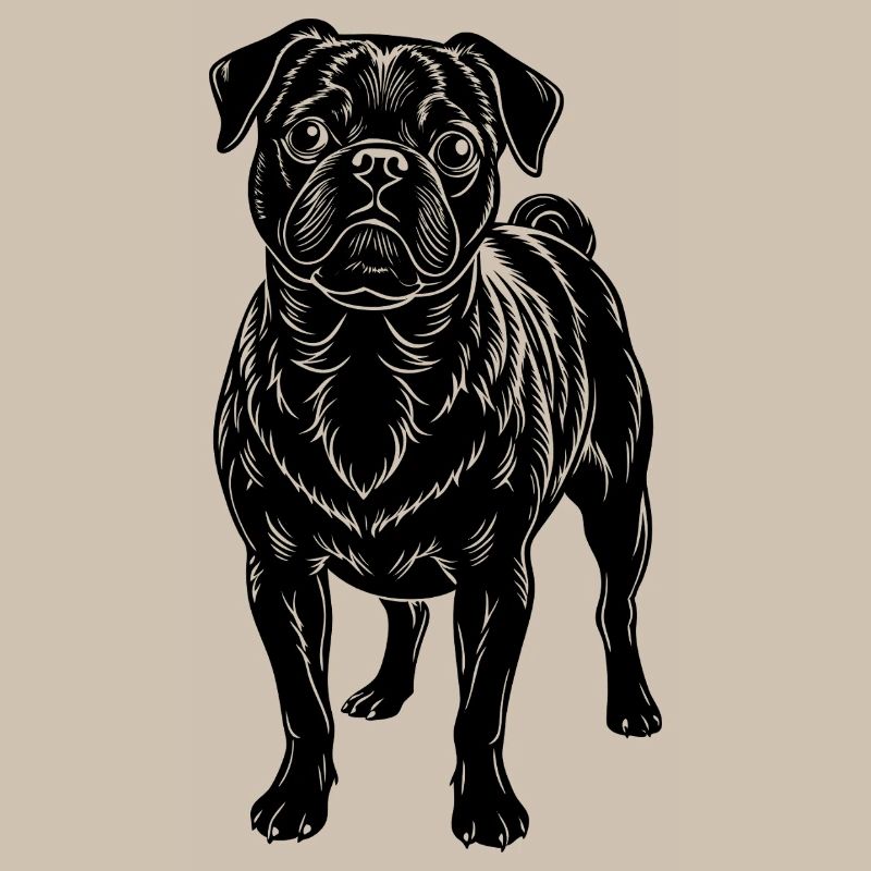 Pug
